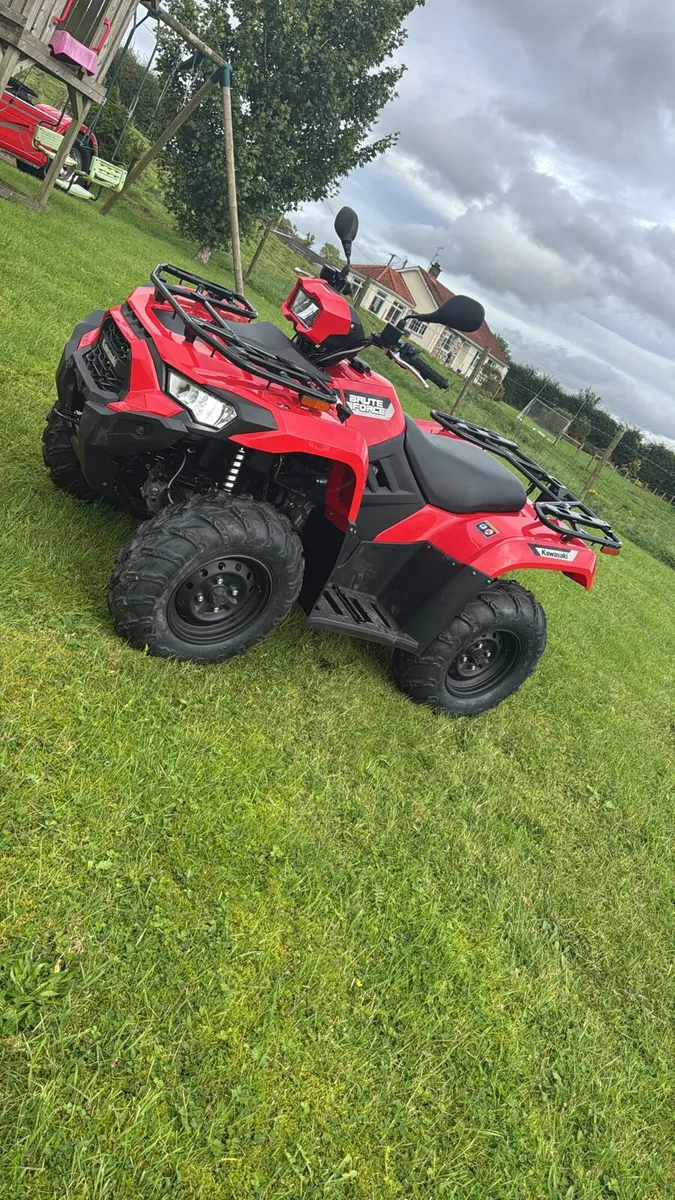Kawasaki brute force - Image 4