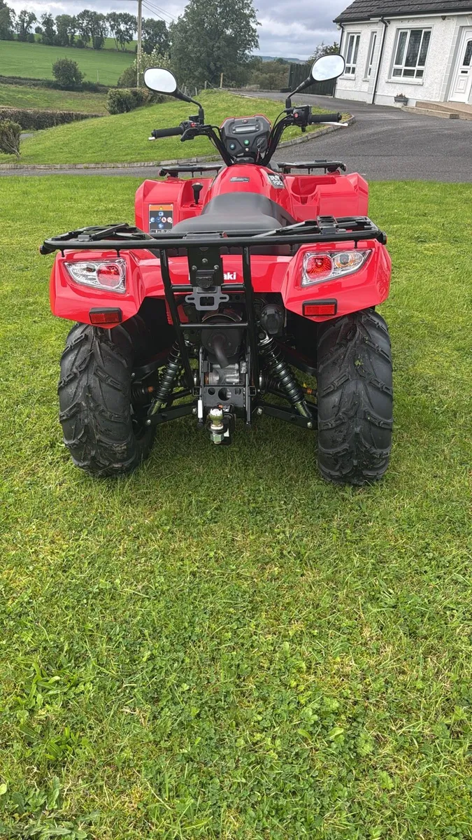Kawasaki brute force - Image 2