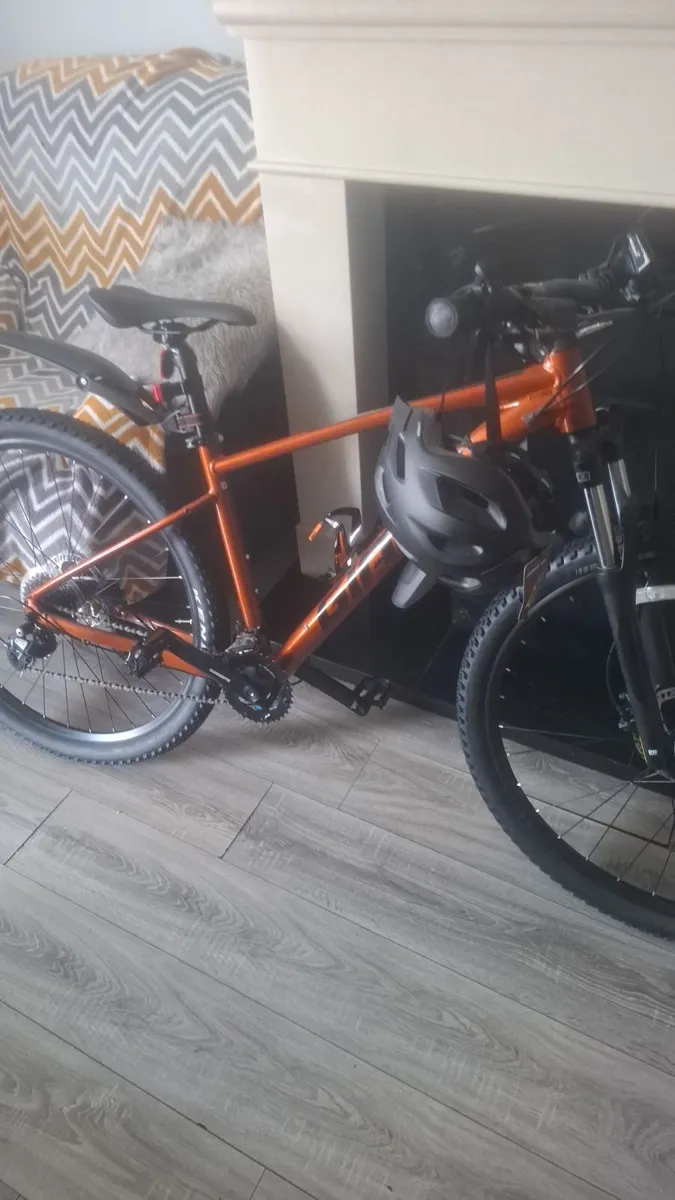 Bike - Image 2