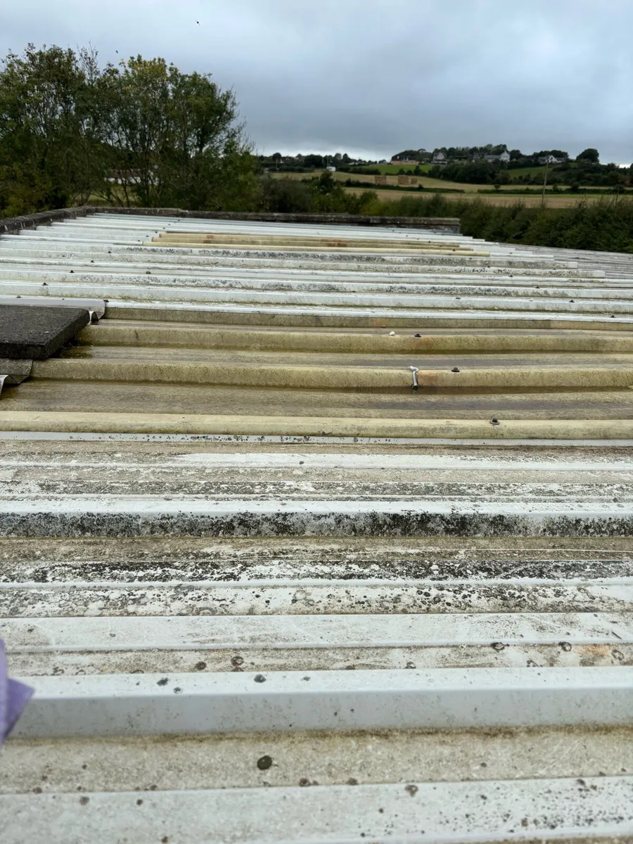 Kingspan roofing
