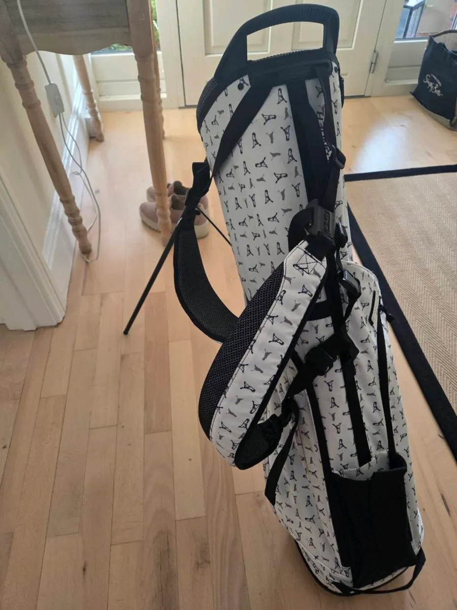 Ping Moonlander Golf Bag - Image 2