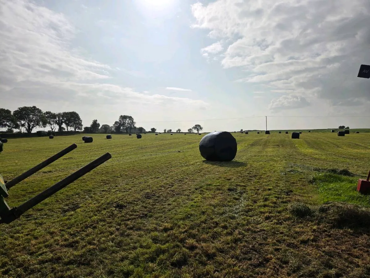 120 Silage bales - Image 3