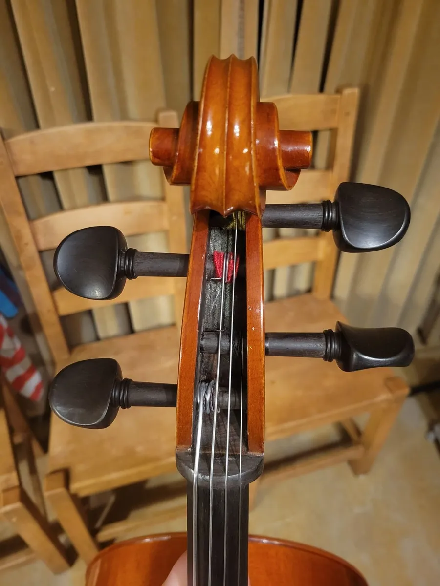 3/4 Cello Primavera Prima 200 - New Bag & Bow - Re - Image 3