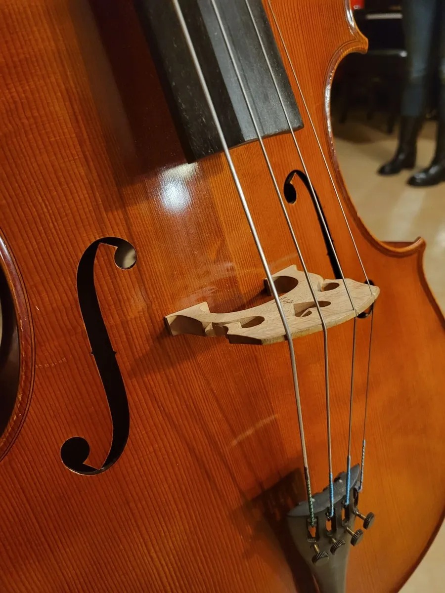 3/4 Cello Primavera Prima 200 - New Bag & Bow - Re - Image 4