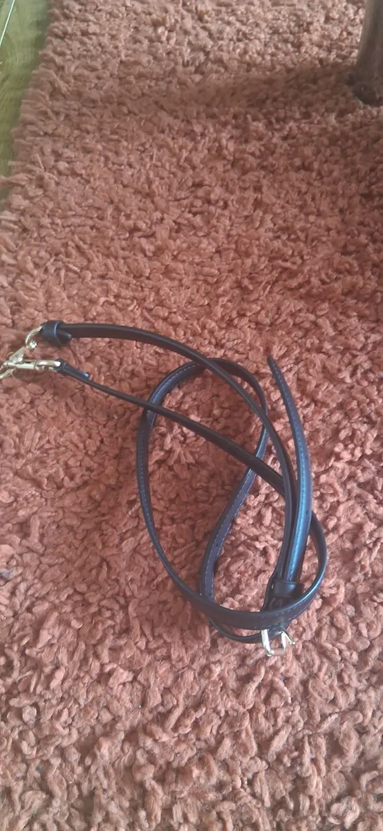 Coach Bag - Image 4