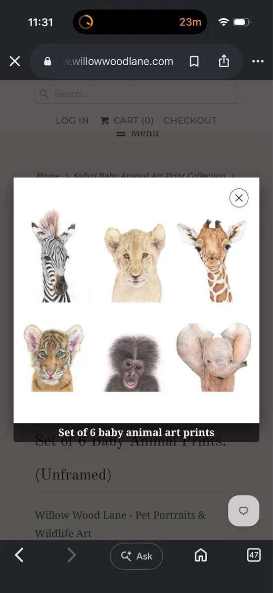 Set of Six White Framed Safari Baby Animal Prints - Image 3