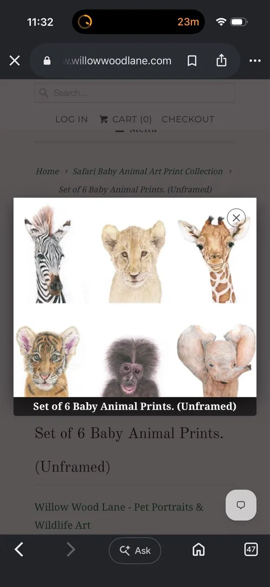 Set of Six White Framed Safari Baby Animal Prints - Image 4