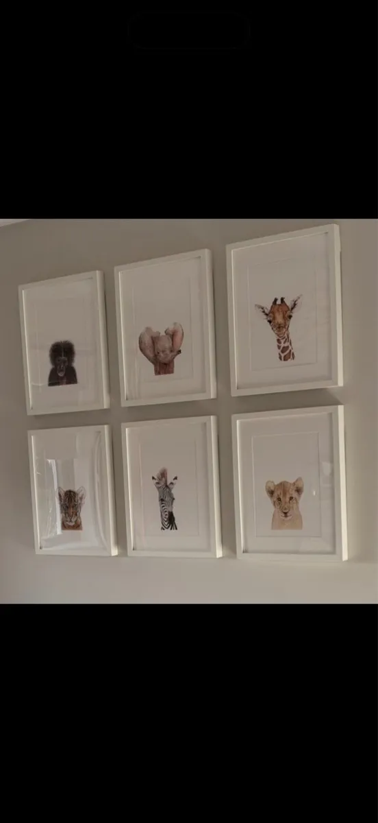 Set of Six White Framed Safari Baby Animal Prints - Image 1