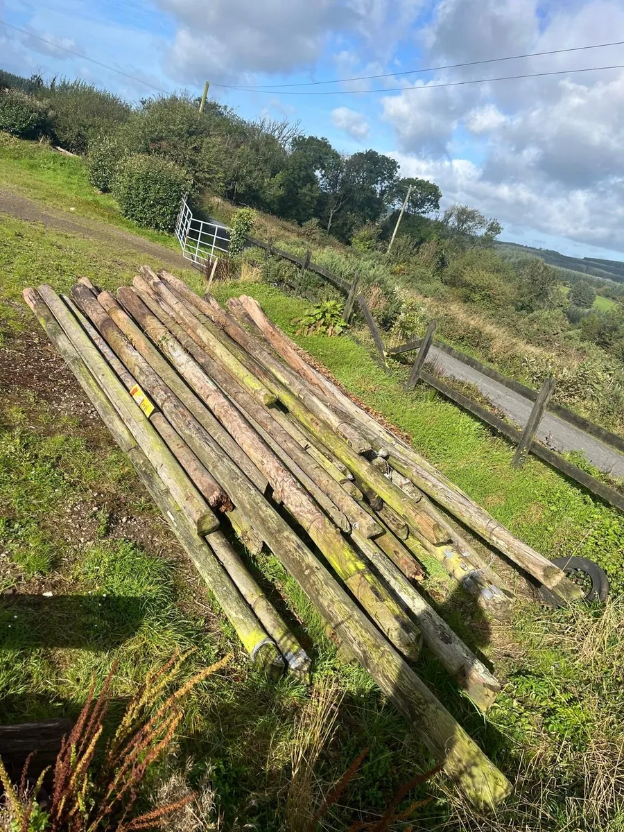 Telegraph poles - Image 1