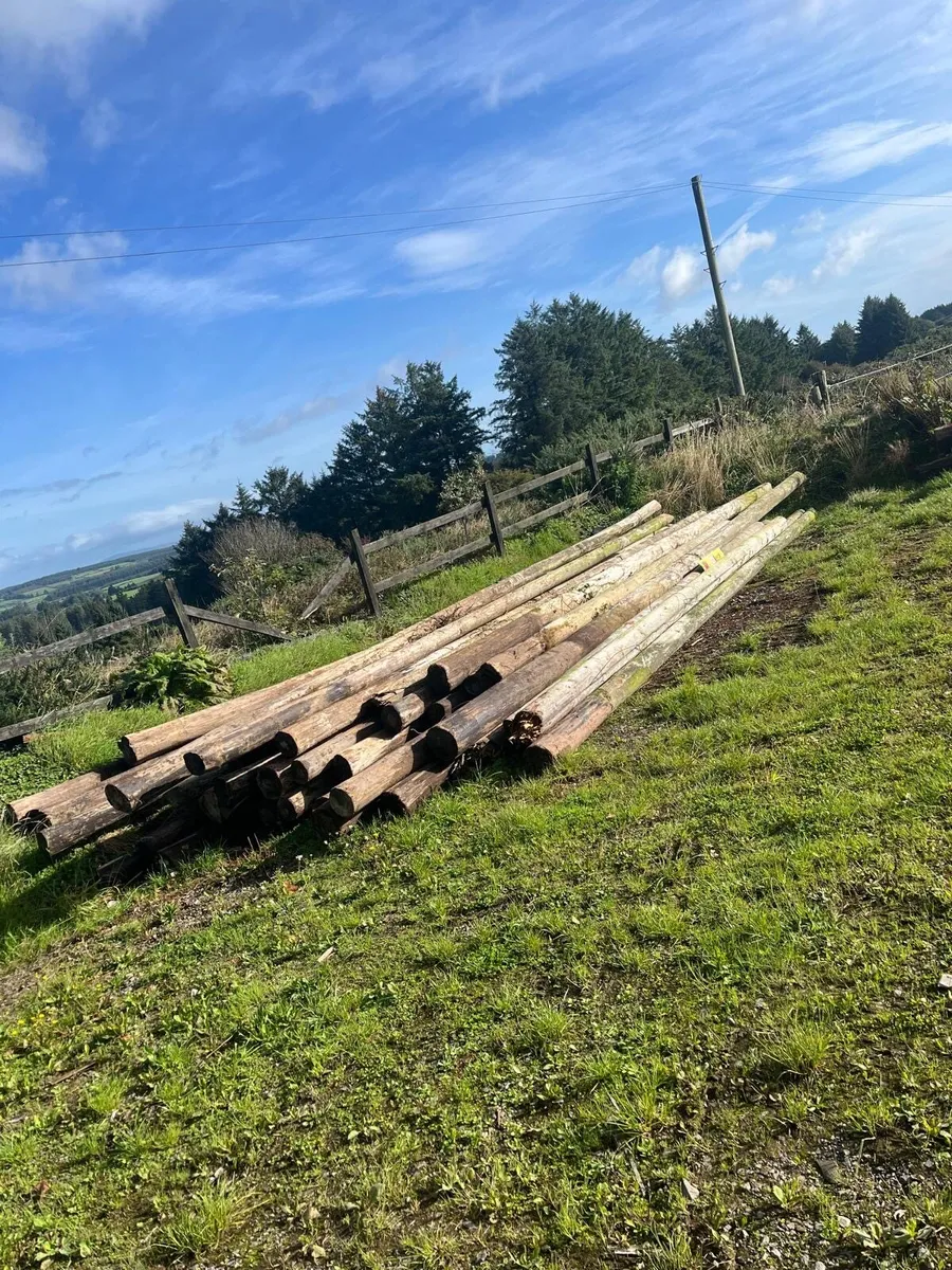 Telegraph poles - Image 2