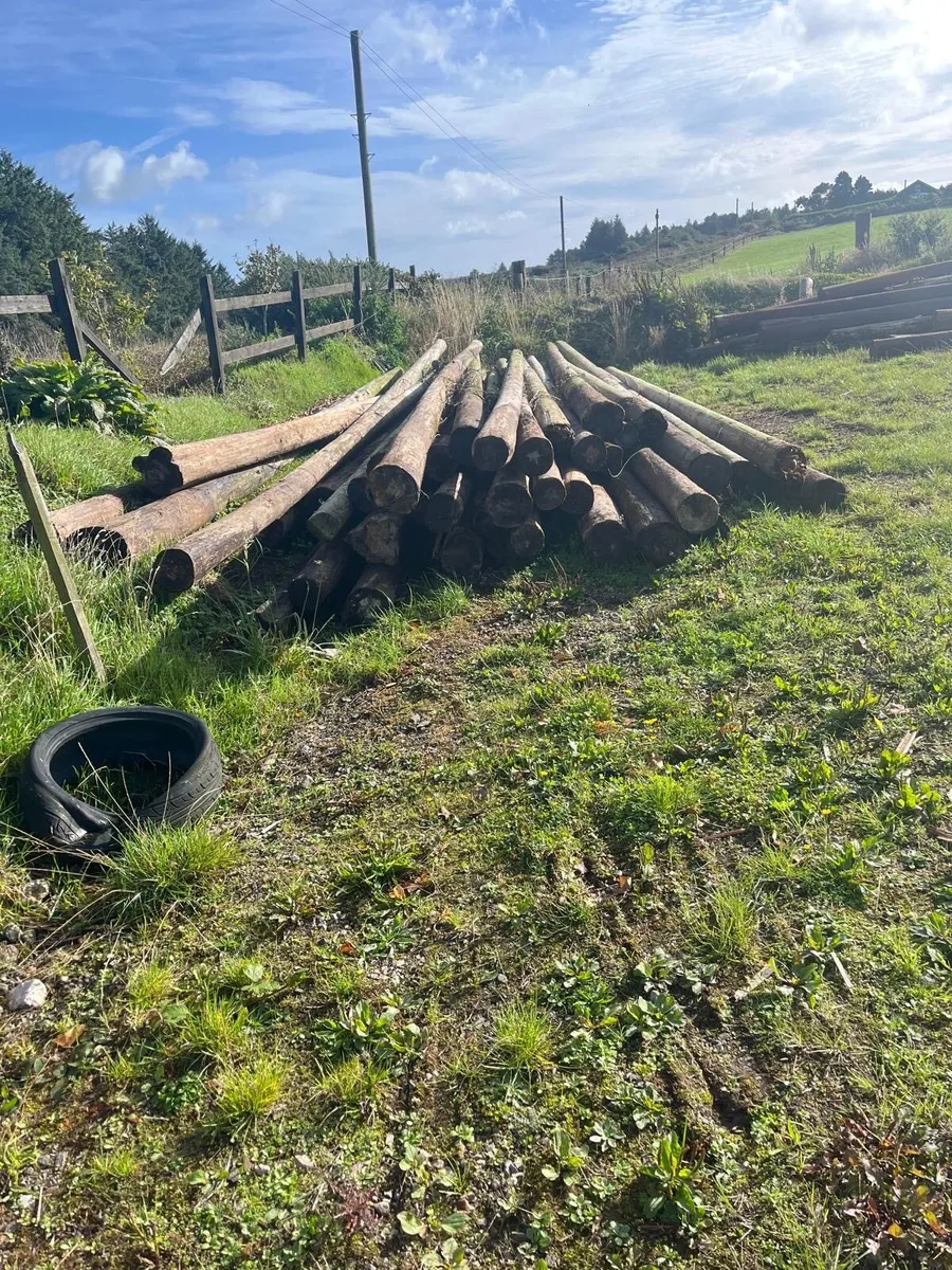 Telegraph poles - Image 3