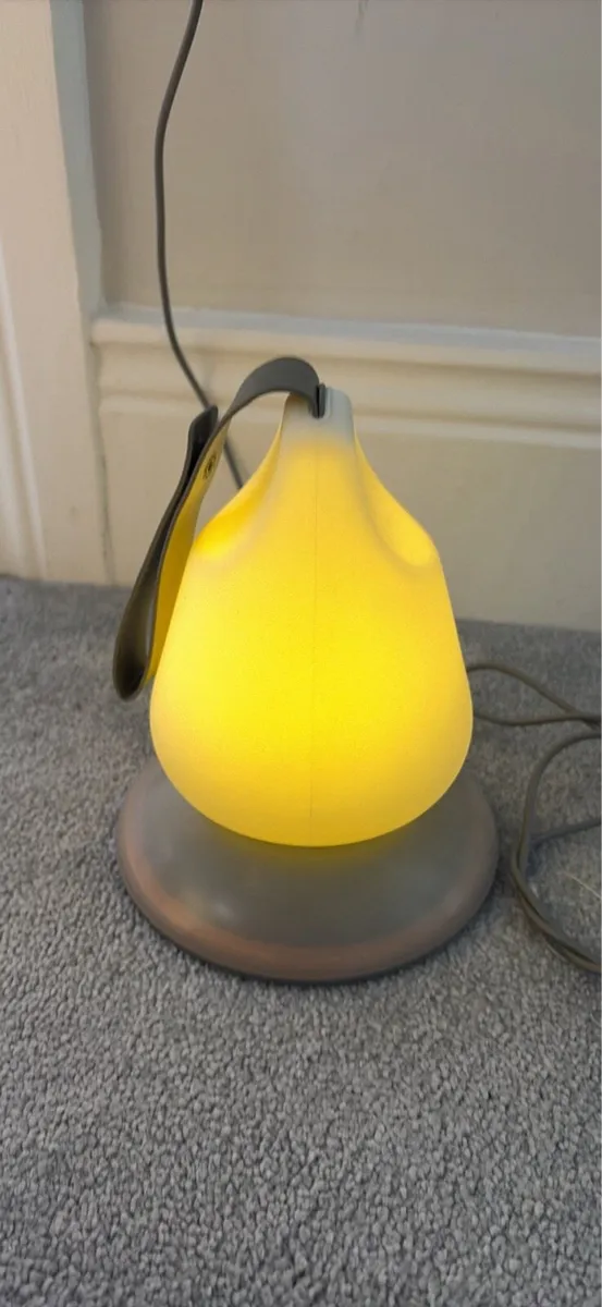 Shunngle Moonlight Portable Nightlight - Image 1