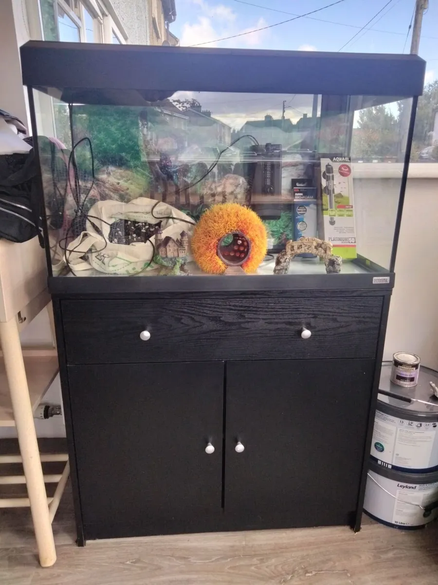 Fish tank - Image 1