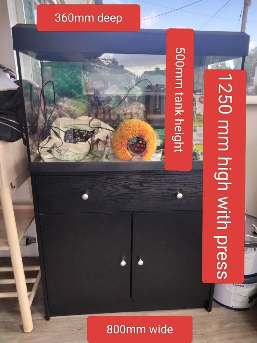Fish tank - Image 3