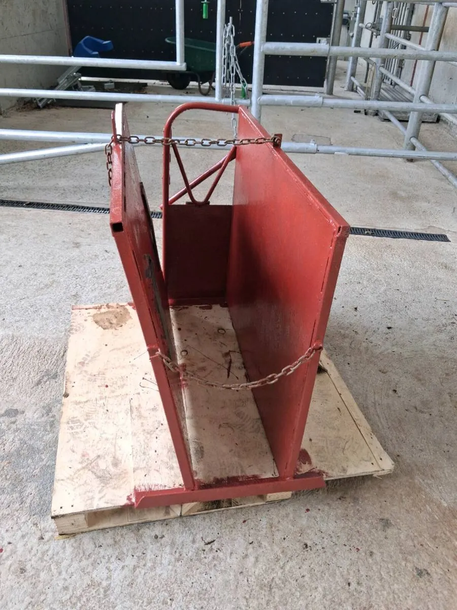 Calf dehorner crate - Image 3
