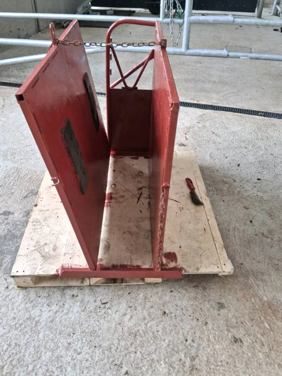 Calf dehorner crate - Image 4
