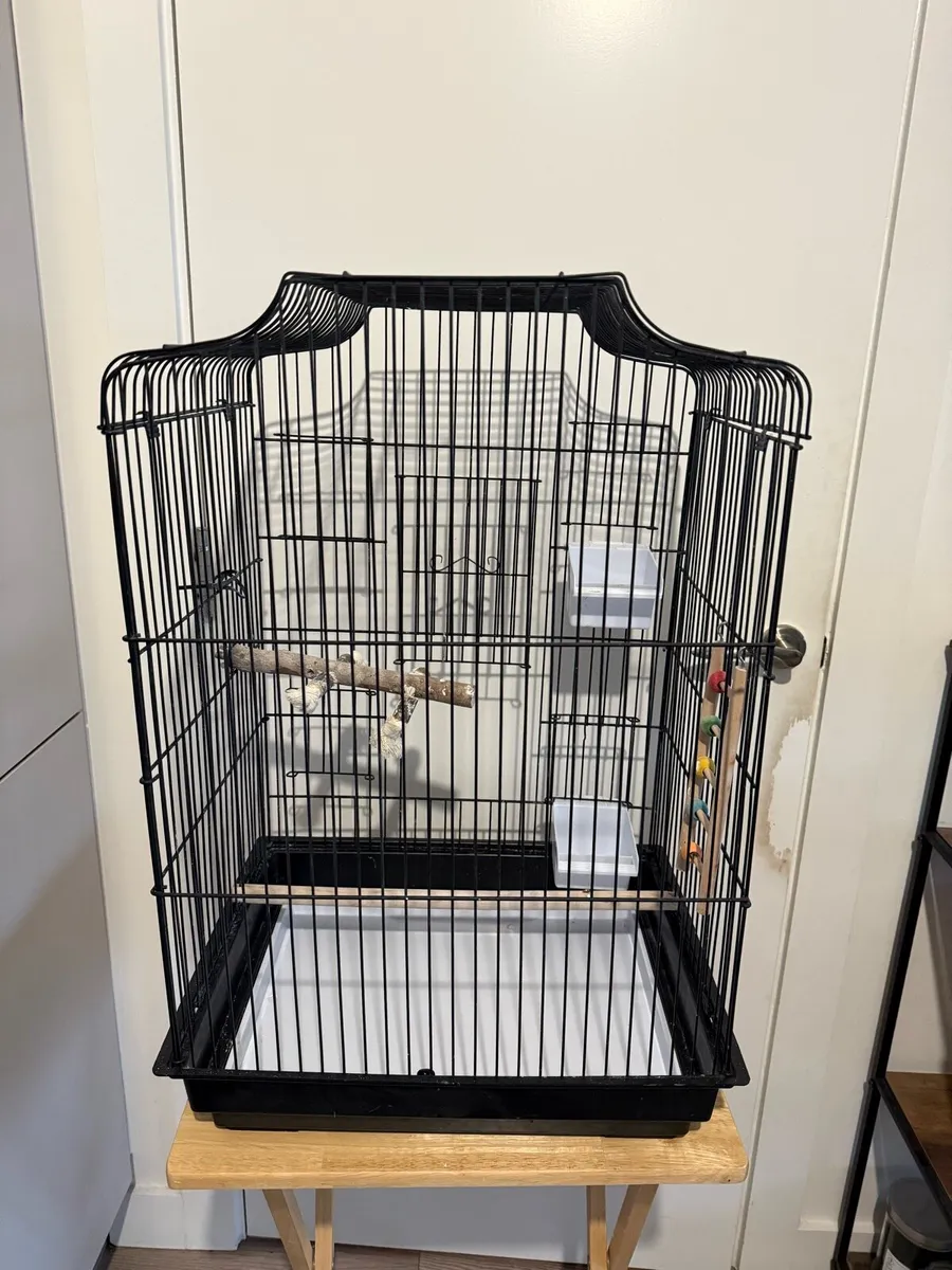 Bird cage - Image 2