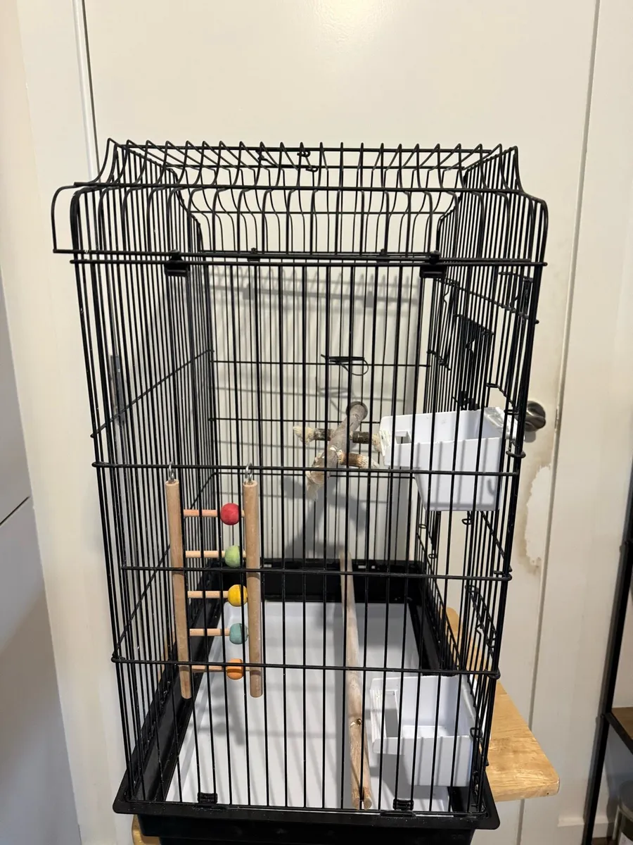 Bird cage - Image 3