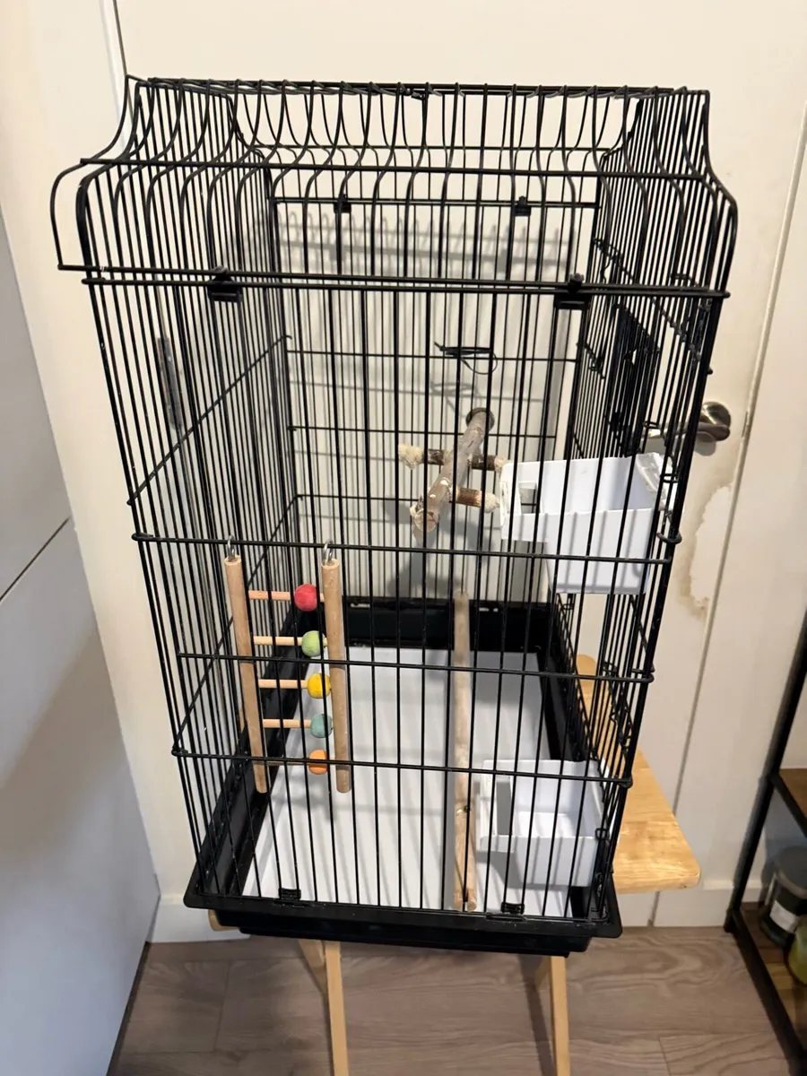 Bird cage - Image 4
