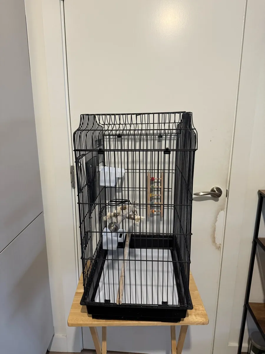 Bird cage - Image 1