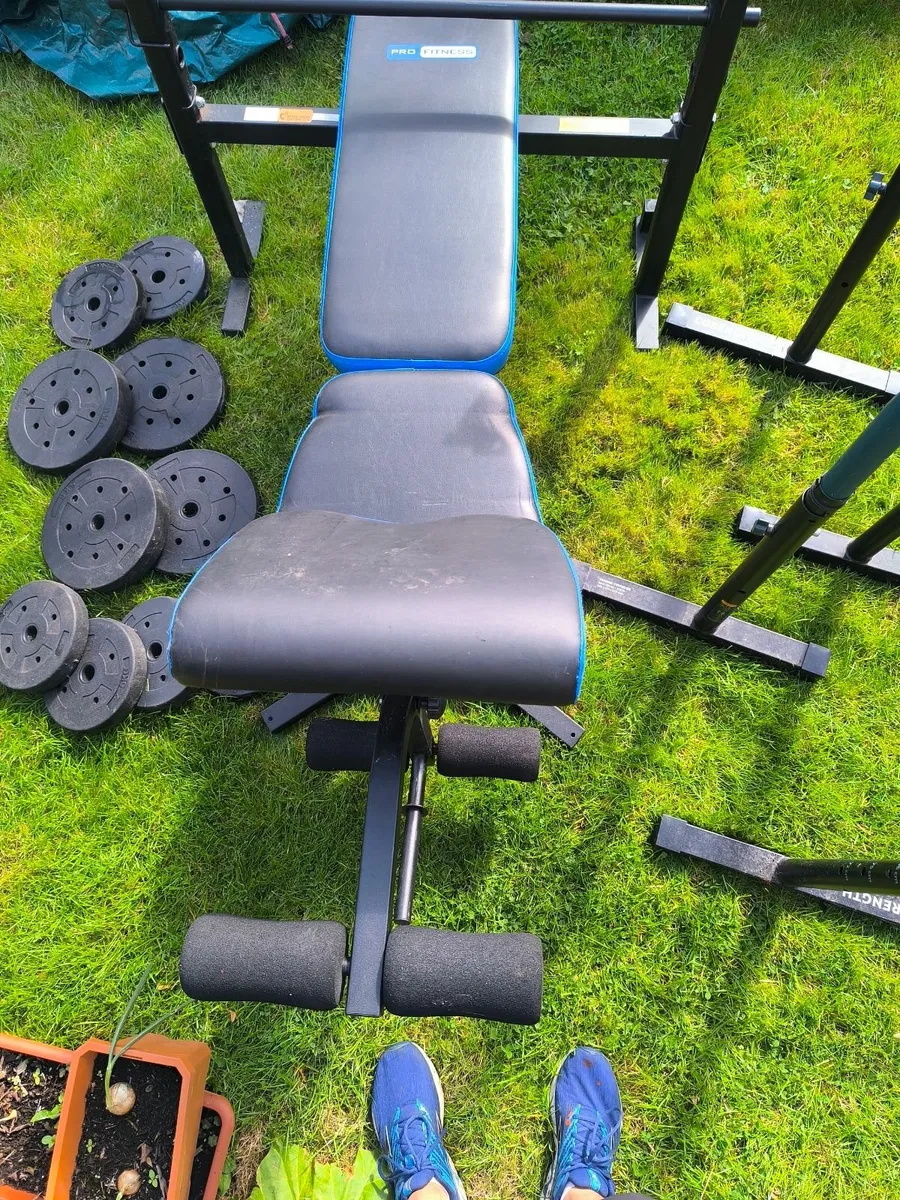Pro Fitness Bench & Parallel Dip Bars - Image 1