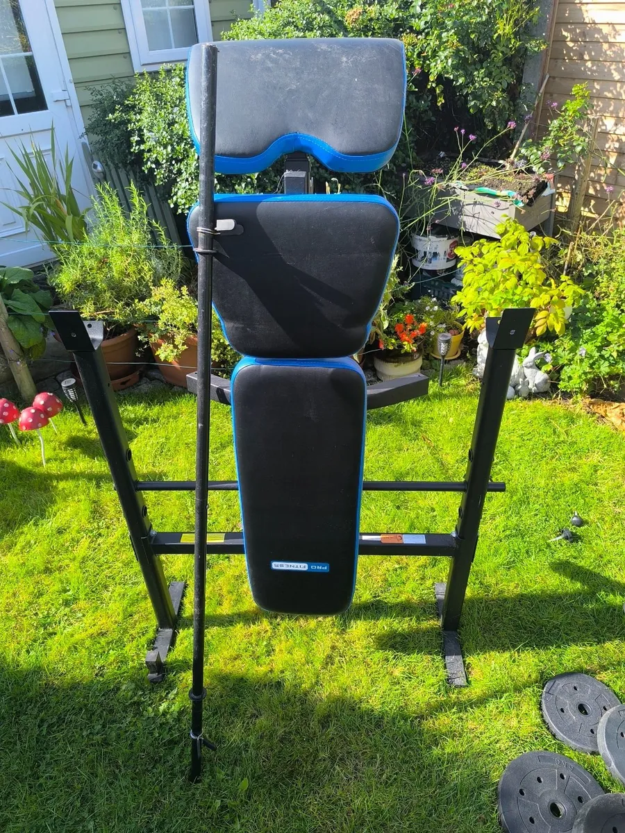 Pro Fitness Bench & Parallel Dip Bars - Image 4