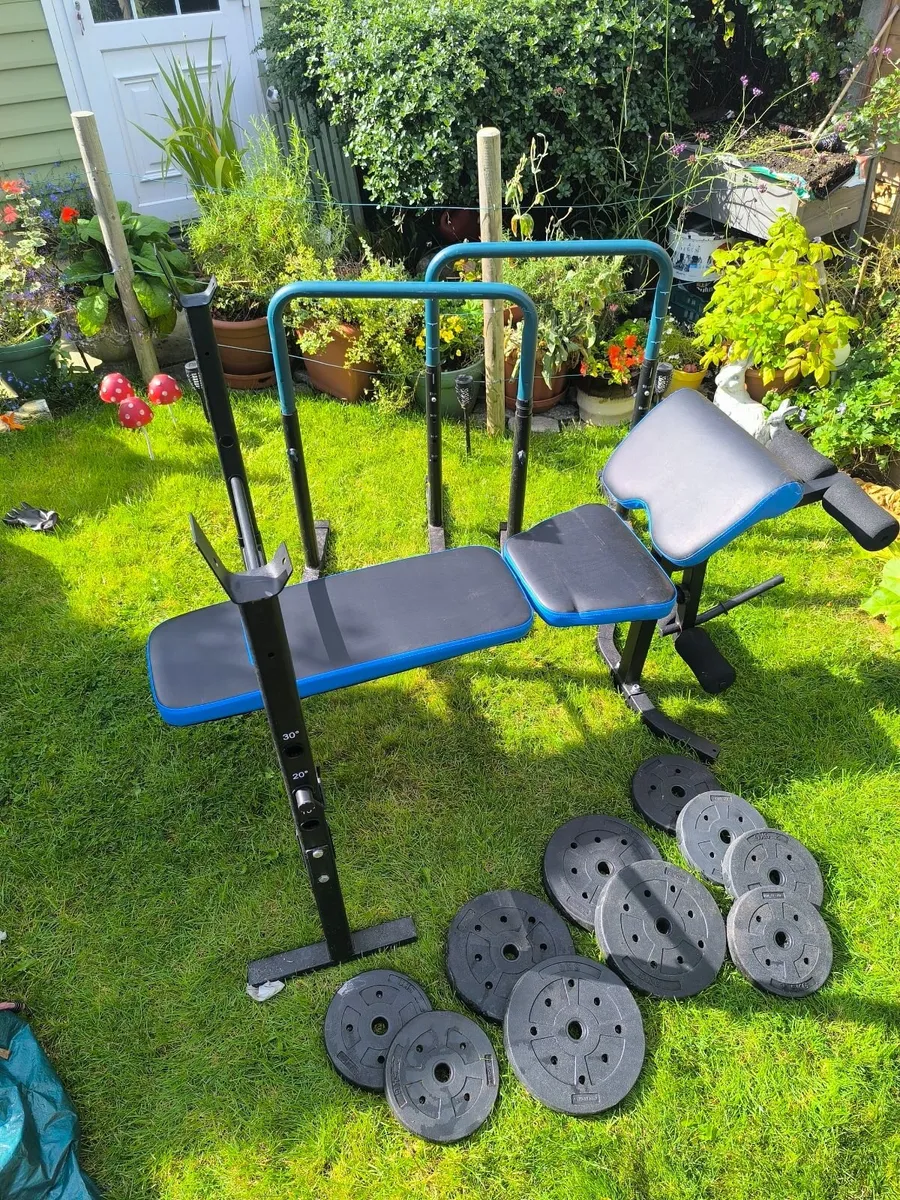 Pro Fitness Bench & Parallel Dip Bars - Image 3