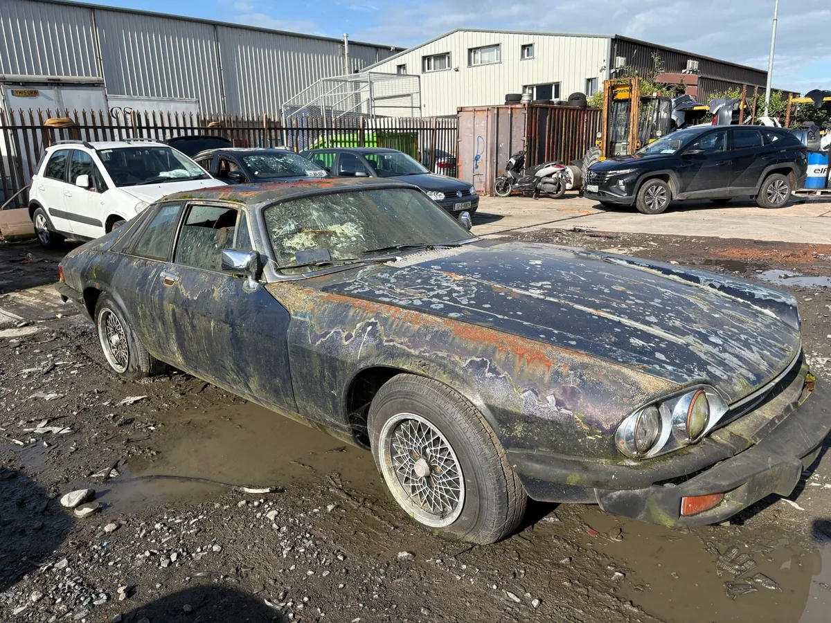 1978 jaguar xjs v12 - Image 2