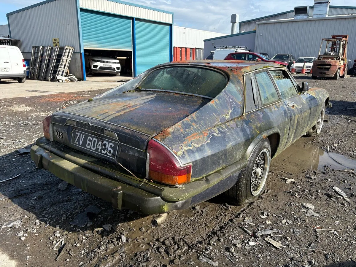 1978 jaguar xjs v12 - Image 3