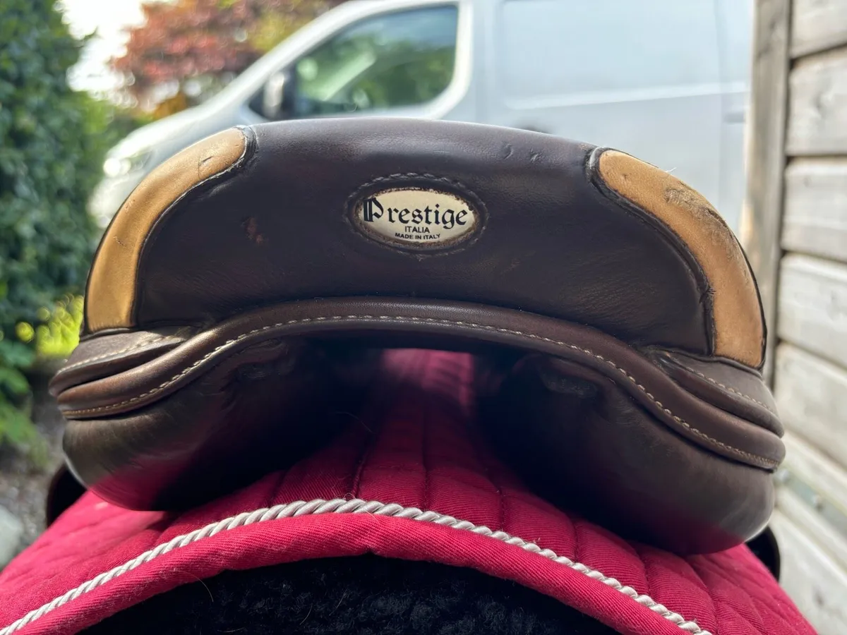 Prestige Saddle - Image 4
