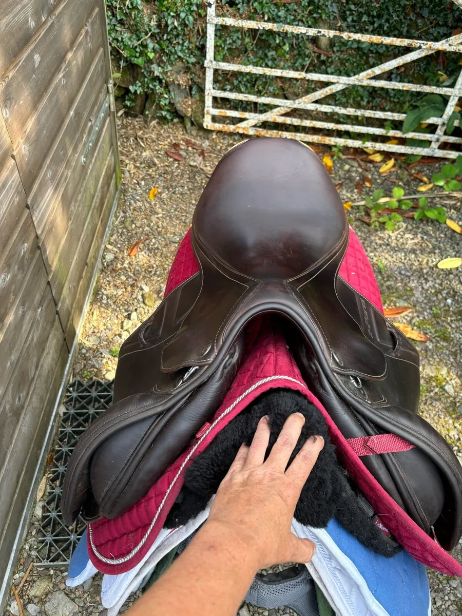 Prestige Saddle - Image 2