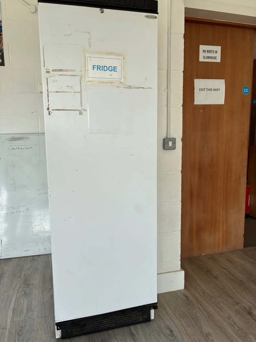 Large Fridge - Image 1