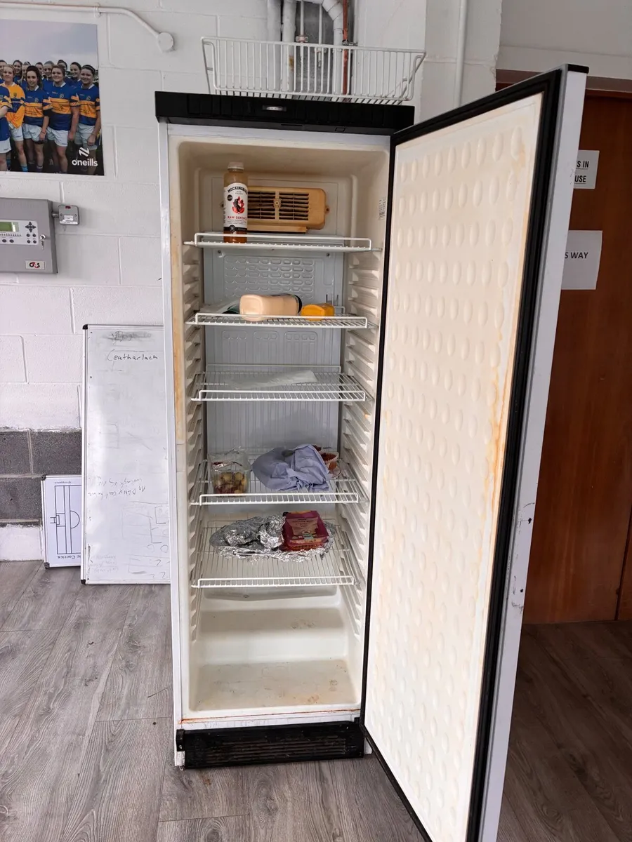 Large Fridge - Image 4
