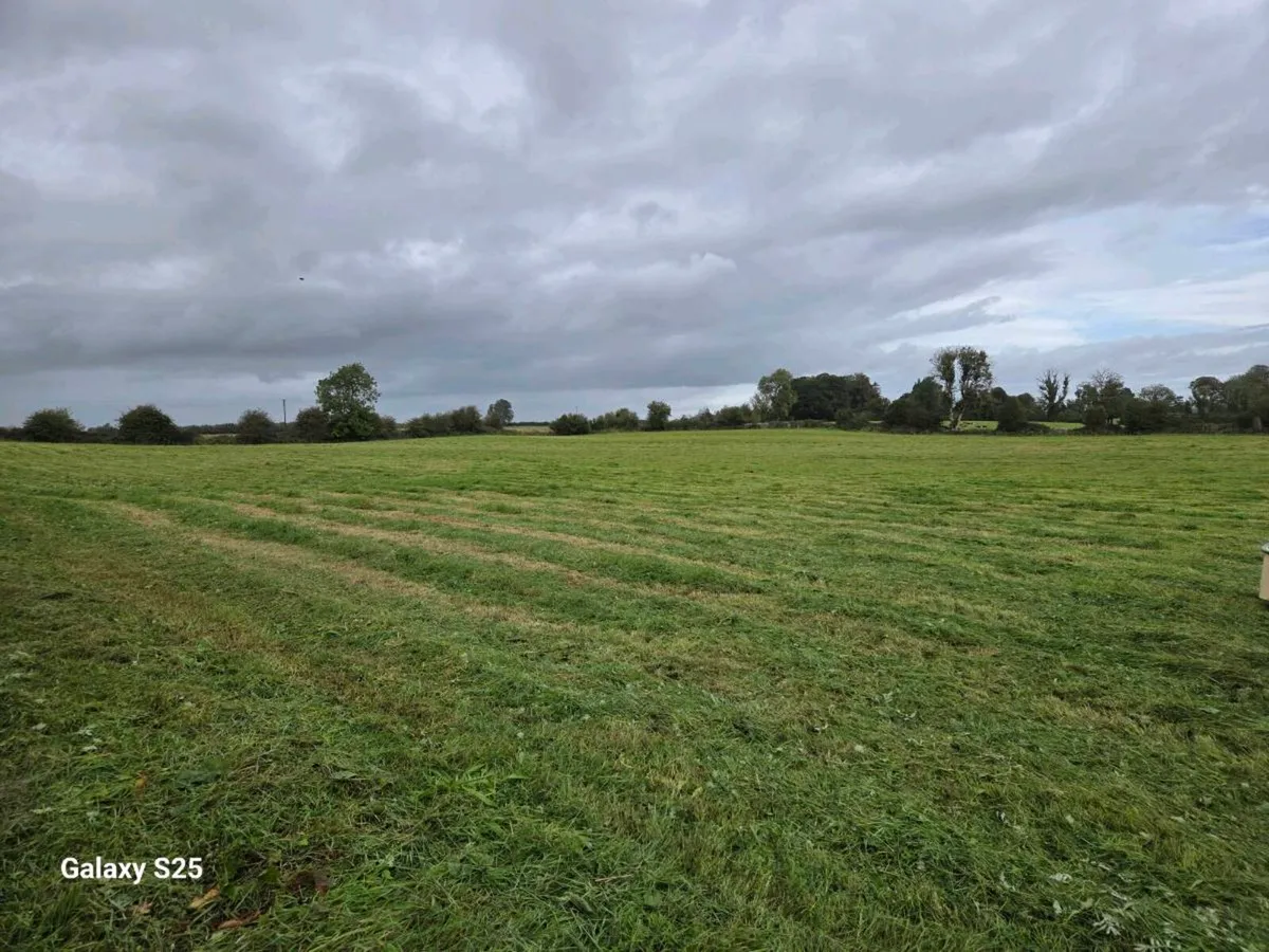 Silage