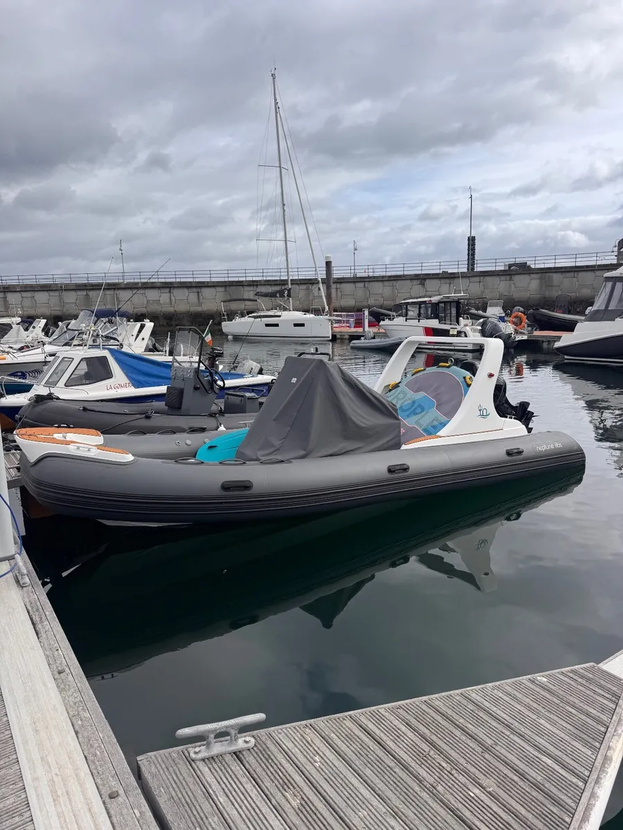 Neptune Rib 620 - Image 4