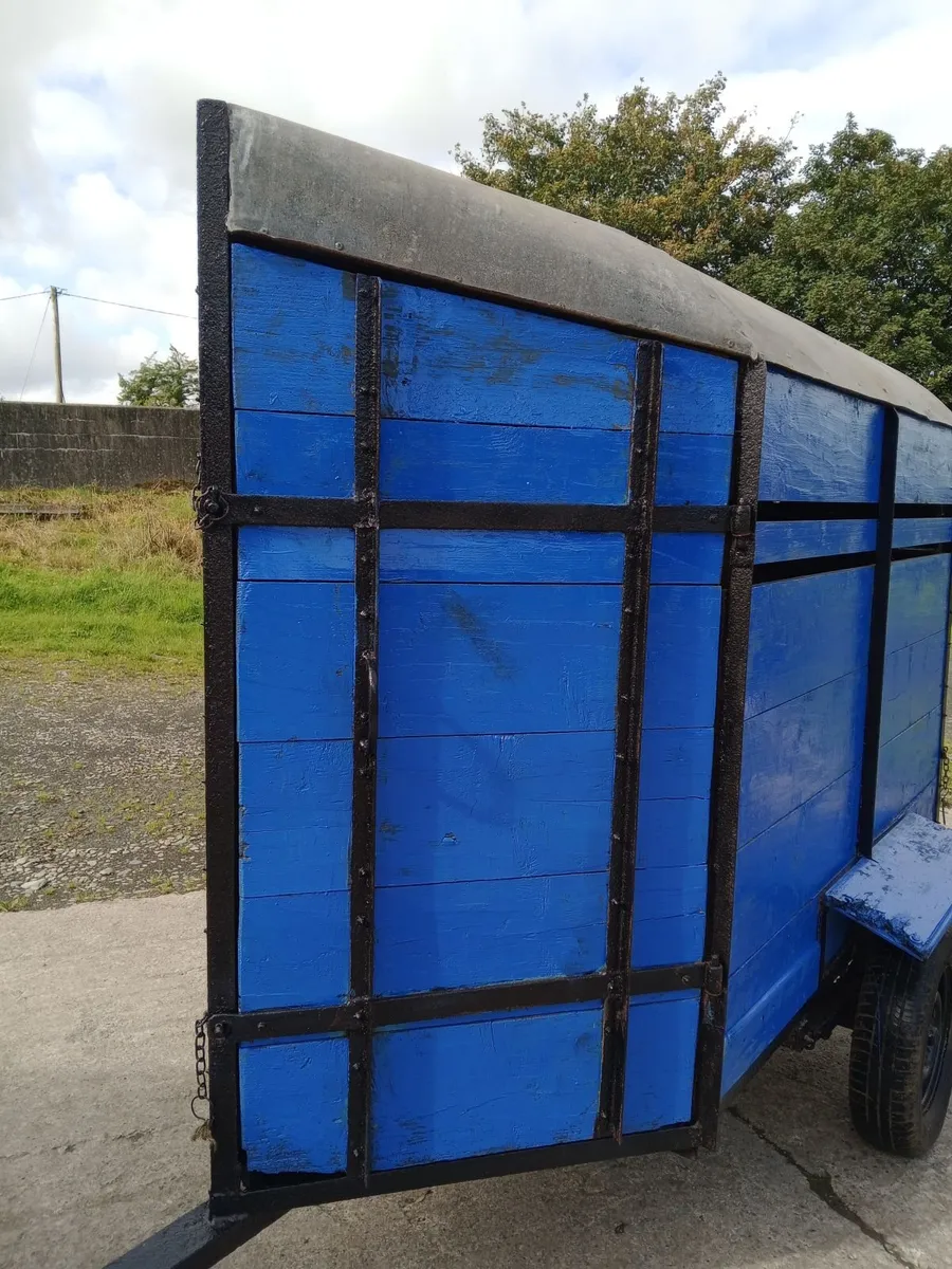 Single Cow/Calf Box - Image 2