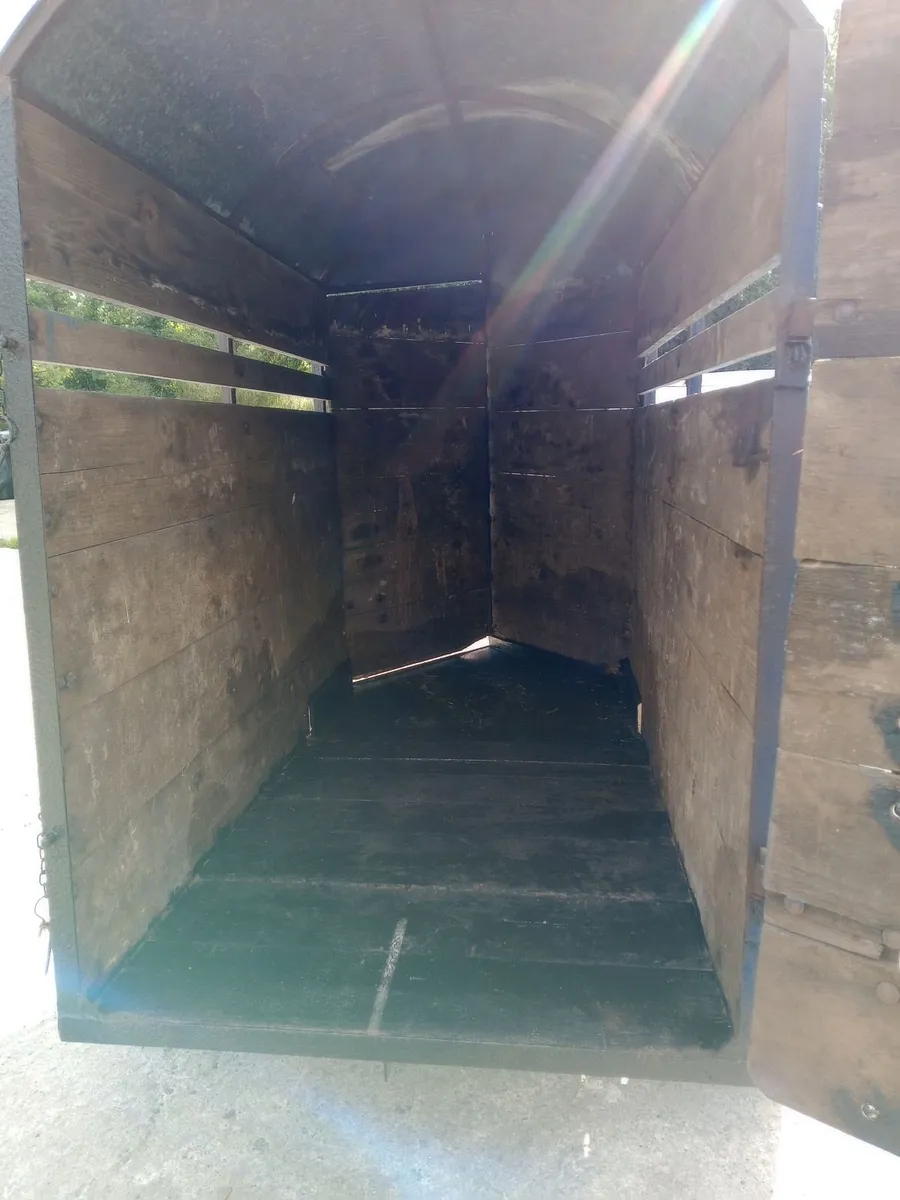 Single Cow/Calf Box - Image 3