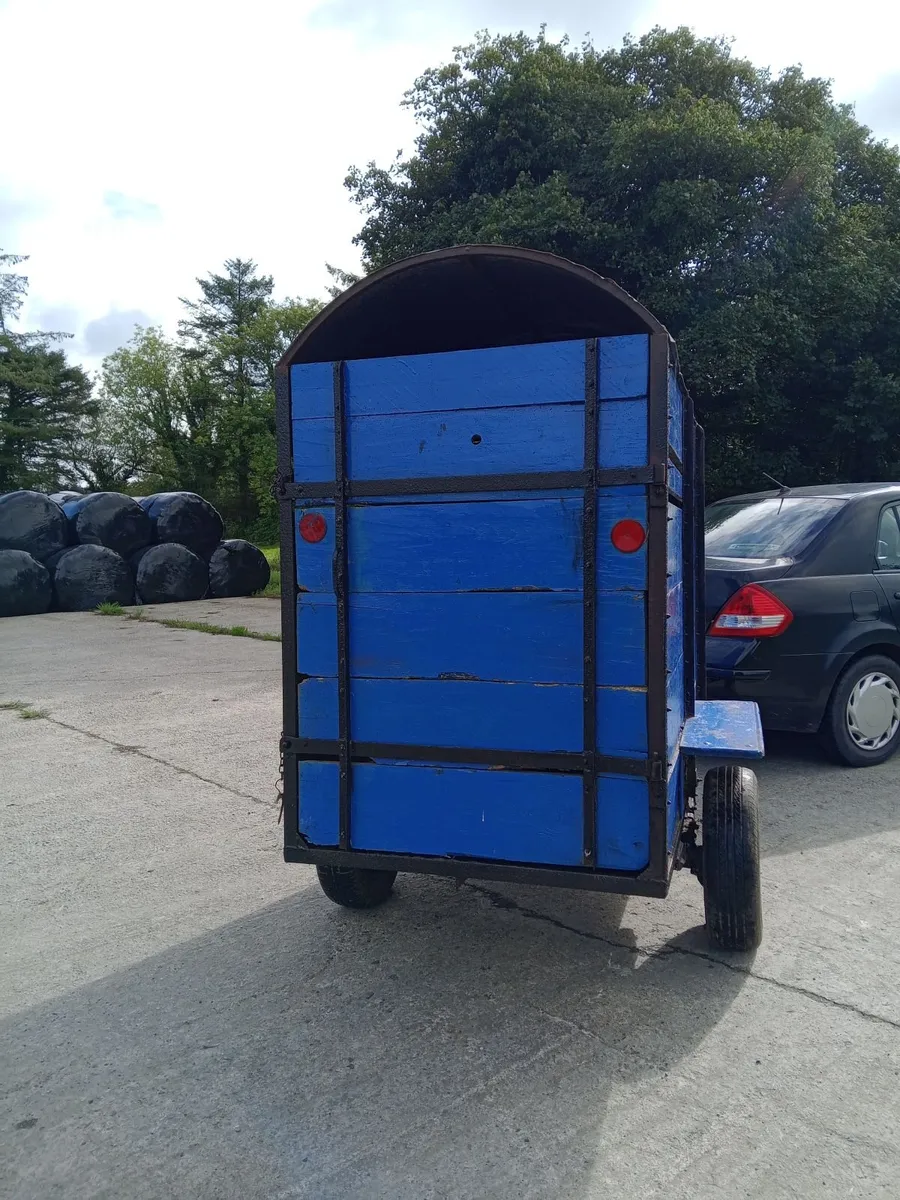 Single Cow/Calf Box - Image 4