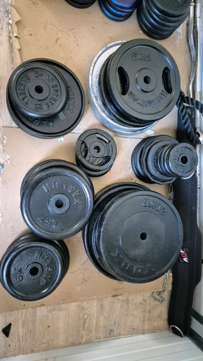 Gym weights
