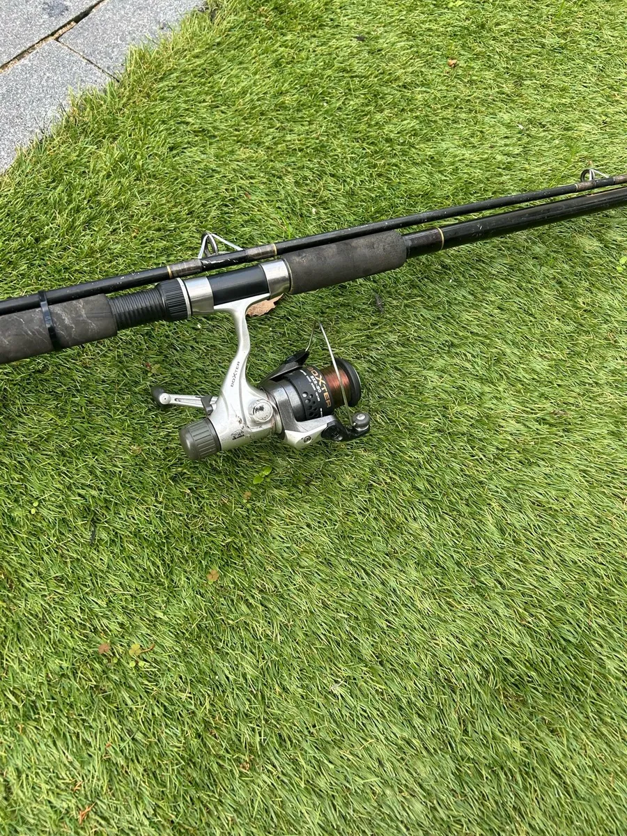 Fishing rod and Reel - Image 1