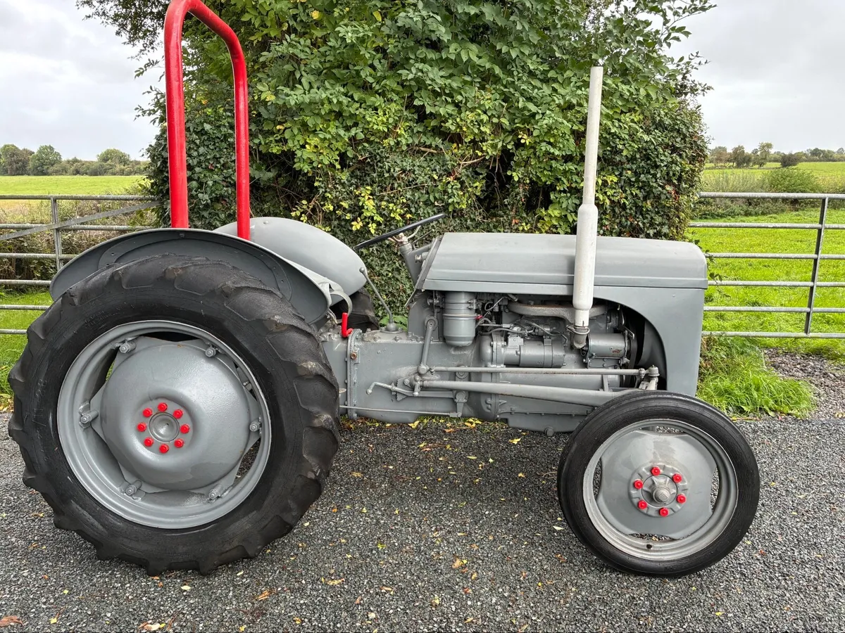 Massey Ferguson 20 Deisel - Image 2