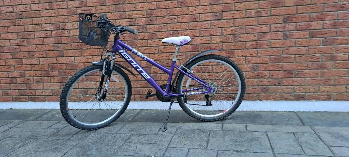 Bicycle - Image 1