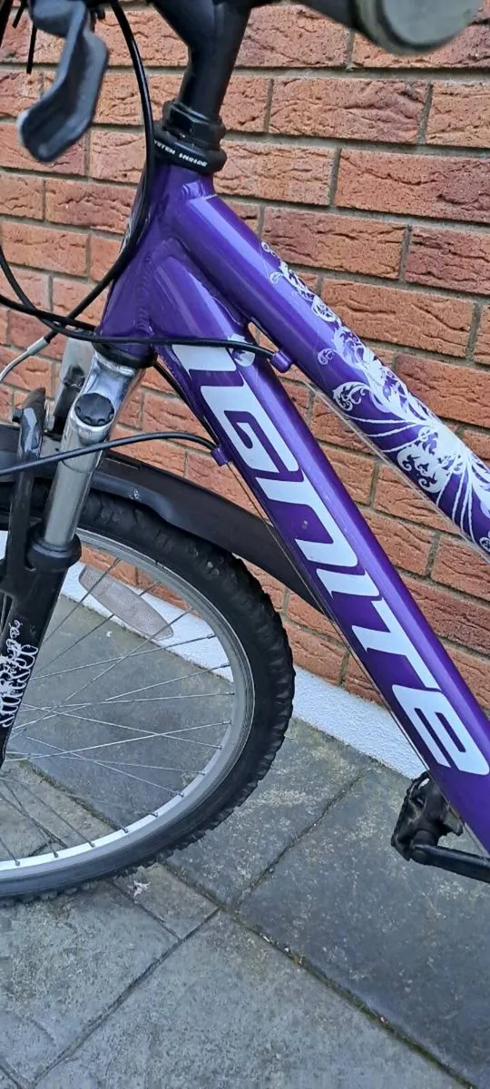 Bicycle - Image 3
