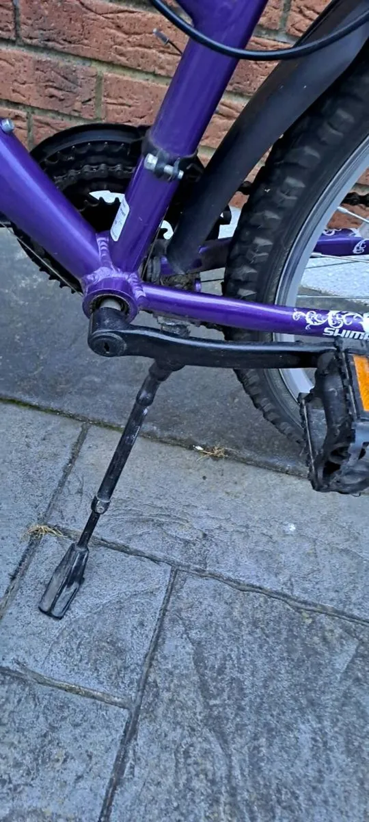 Bicycle - Image 4