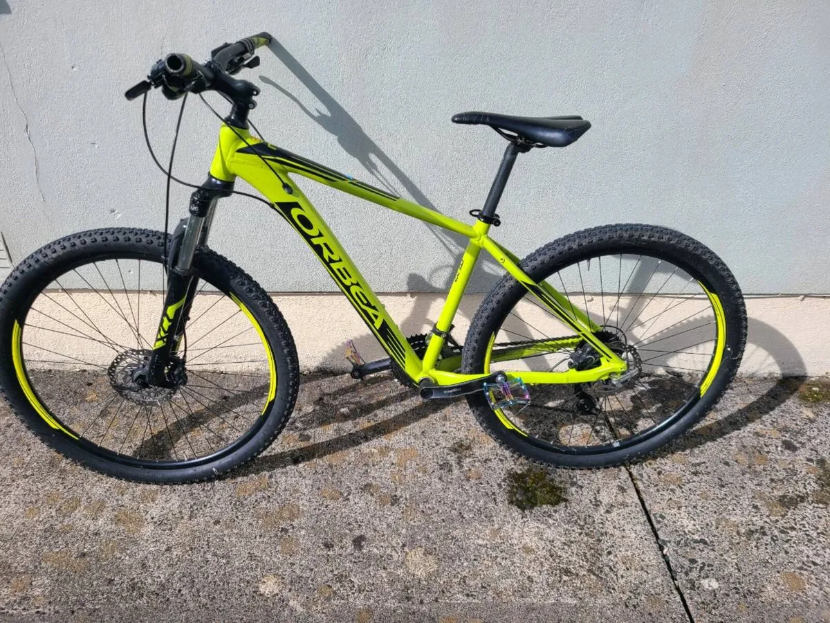 Orbea Mountain bike - Image 1