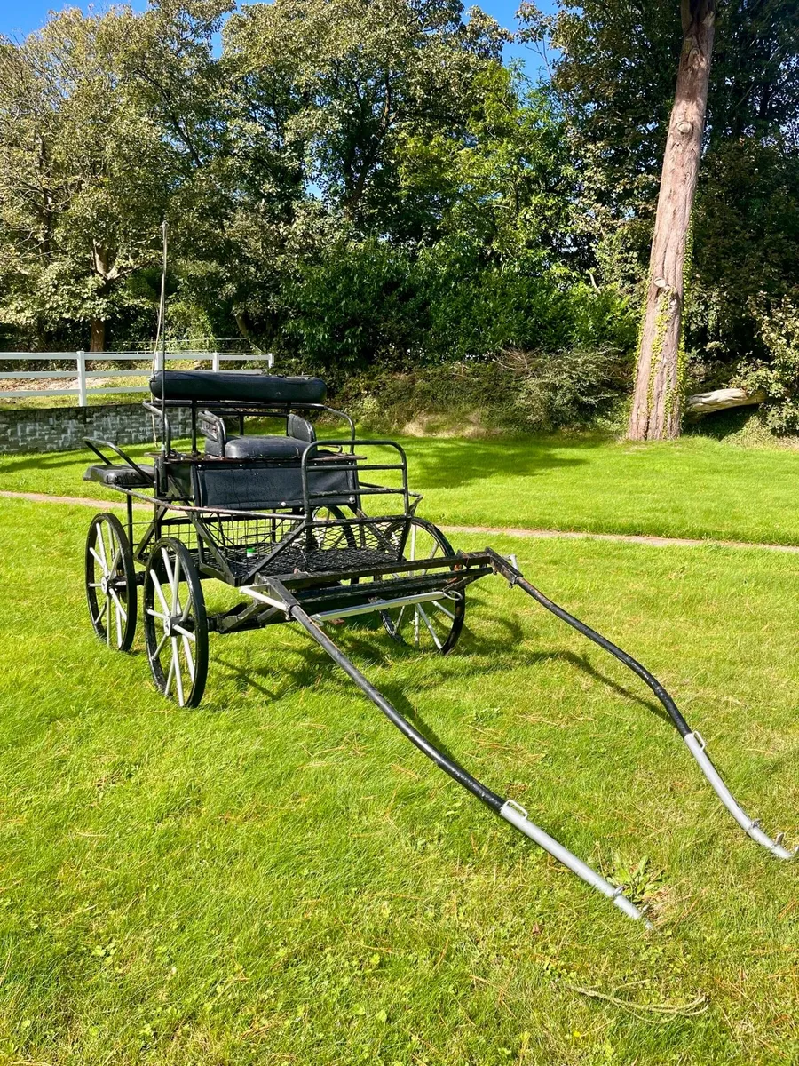 4 Wheel Cart - Horse/Pony + Tack - Image 1