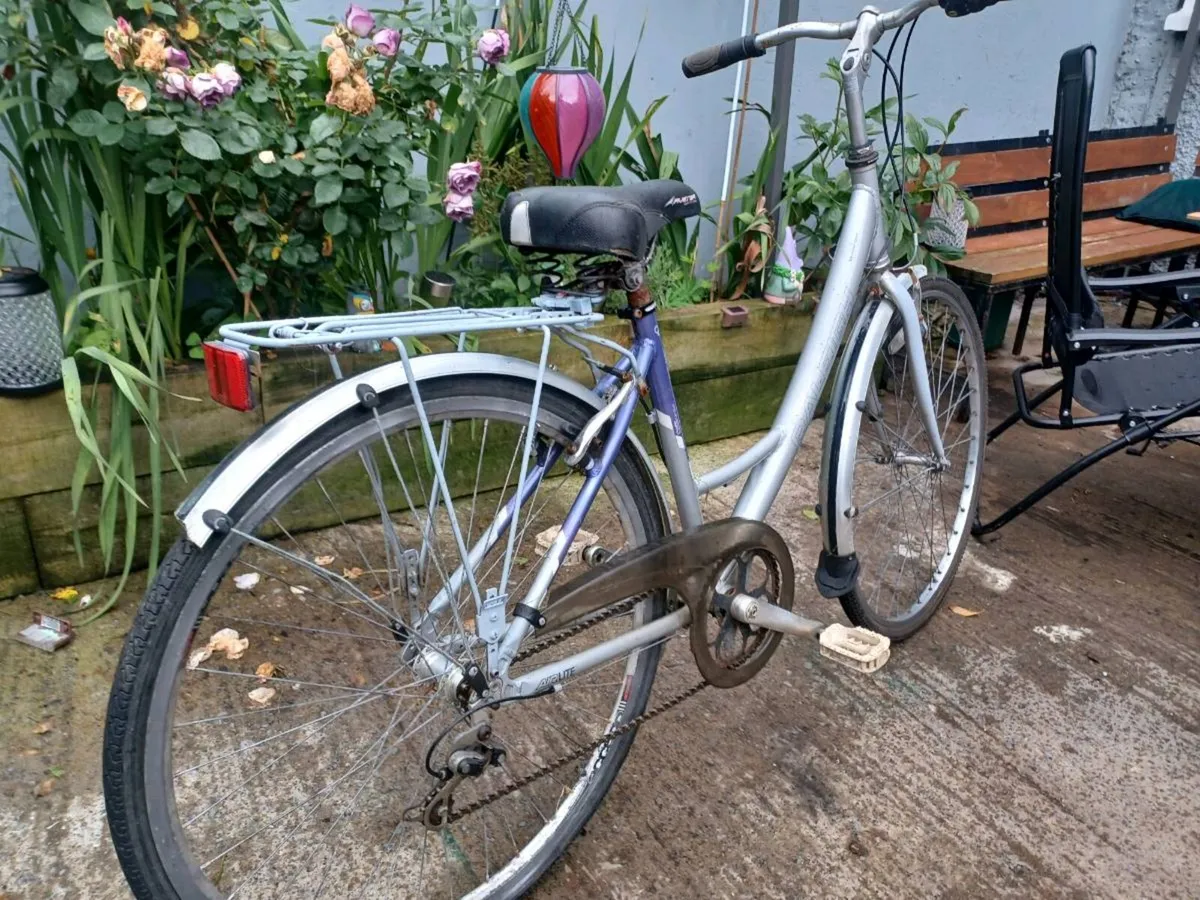 Raleigh woman's bike - Image 4