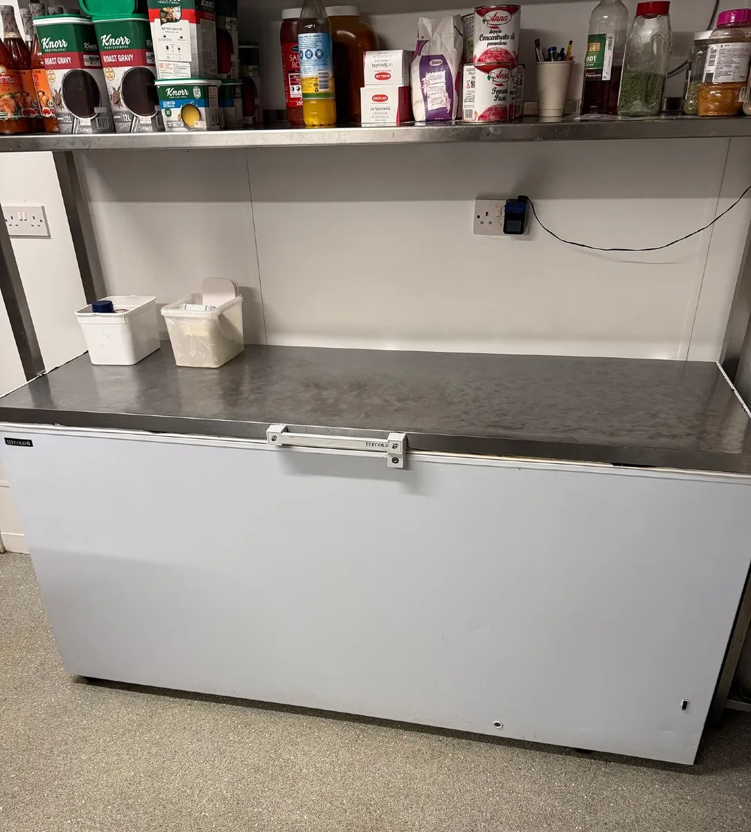 True Fridge, Salad Bar and Chest Freezer for Sale - Image 3