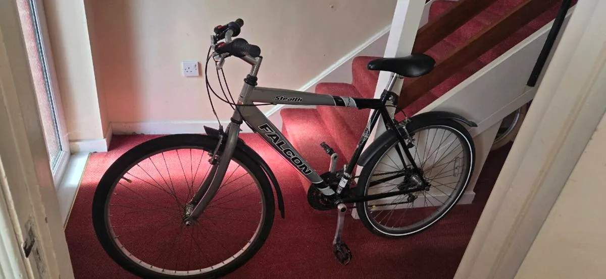 Adults bike - Image 1