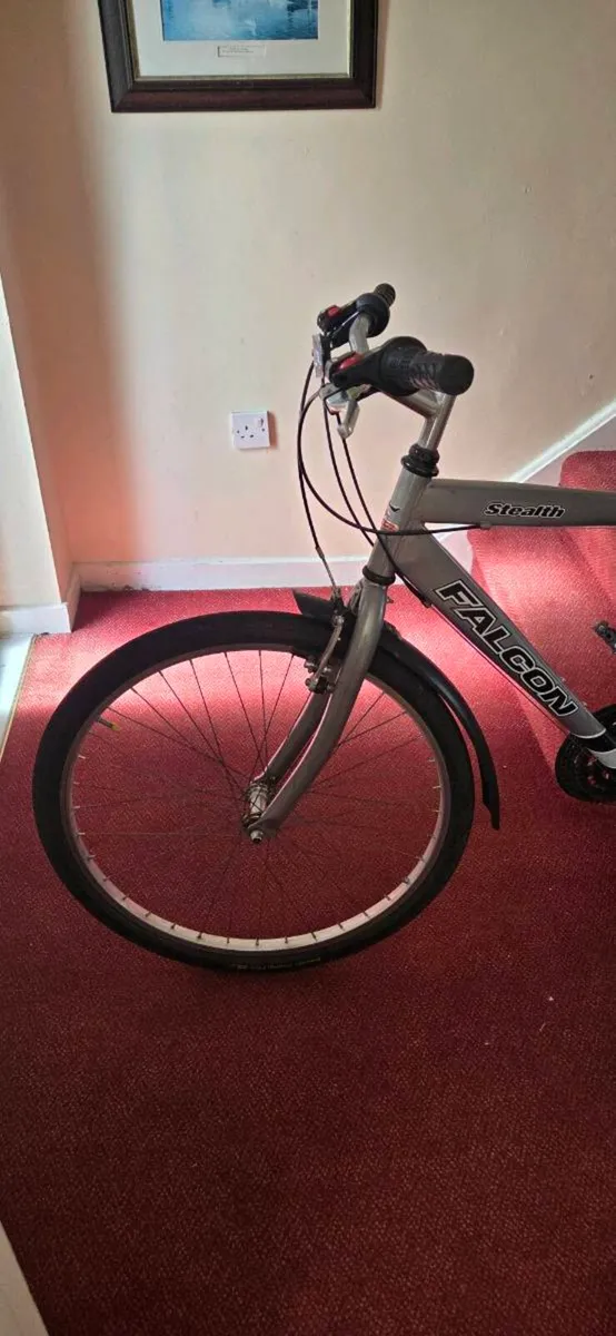 Adults bike - Image 2